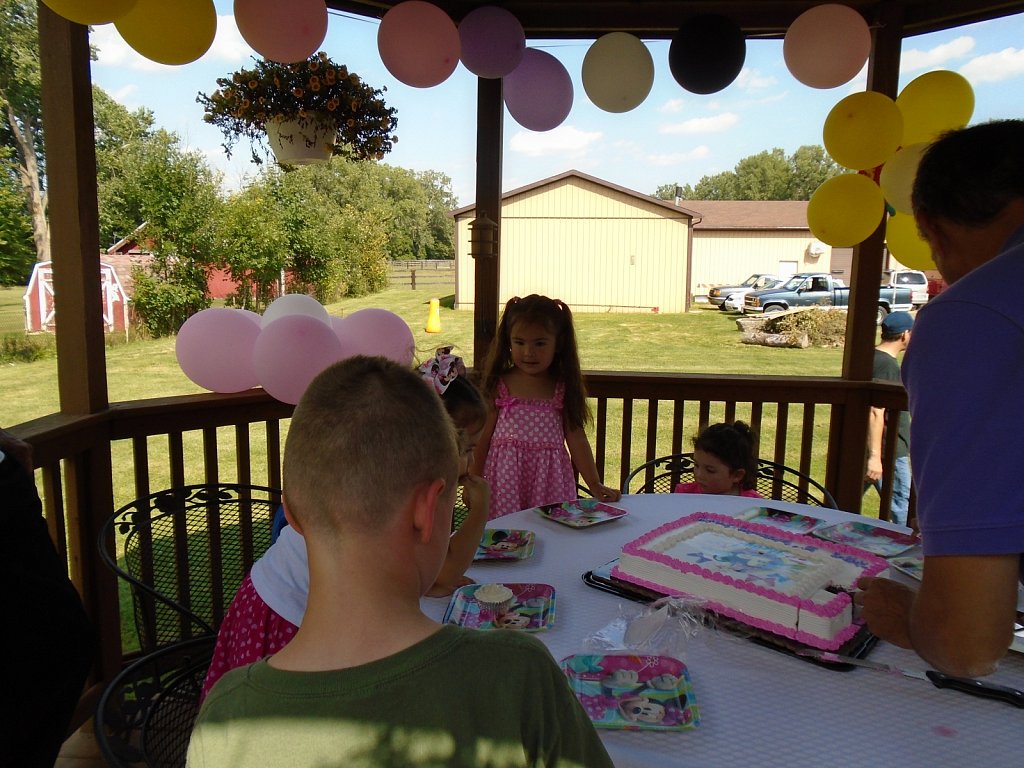 Gabbys 3rd Birthday Party