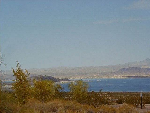 P9130091.JPG