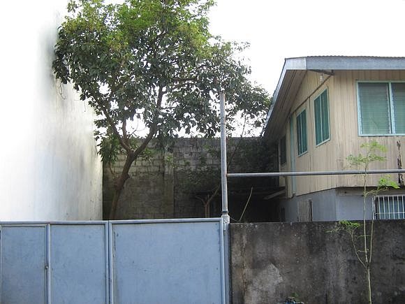 Img-0938.jpg