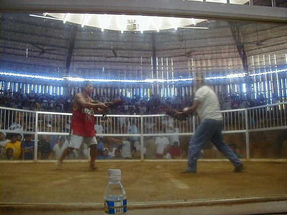 P1010056.JPG