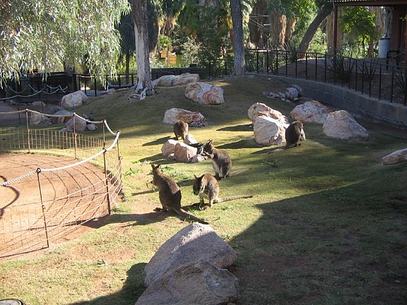 Arizona2006-004.jpg