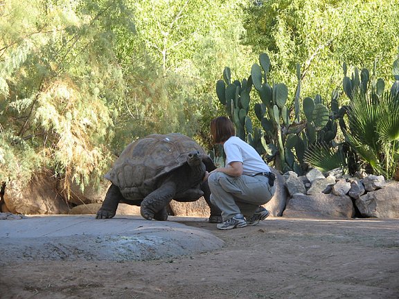 Arizona2006-017.jpg