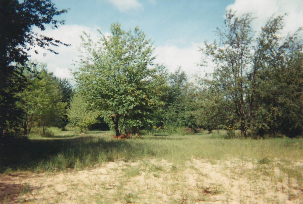 Scan30011.JPG