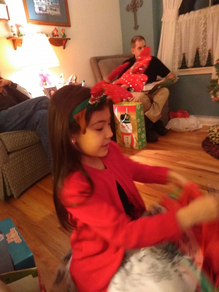 IMG-20181224-180913.jpg