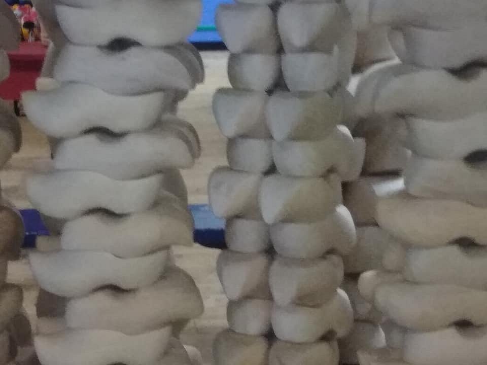 116253863-3071769012877879-8368055772392291374-n.jpg